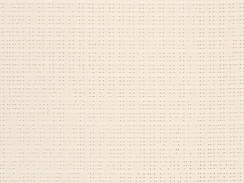 SLTZ 2175 - champagne