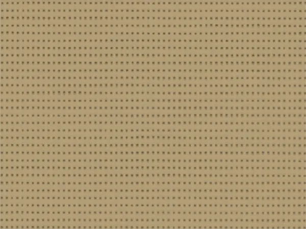 SLTZ86 2012 - latté