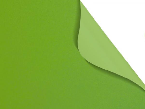 Carina BO 7937 - zelená