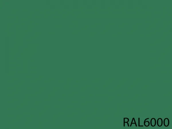 RAL 6000