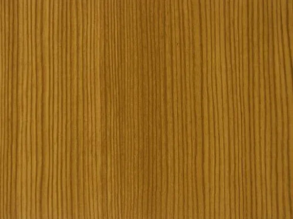 23 - Borovica horská