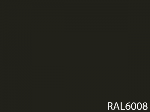 RAL 6008