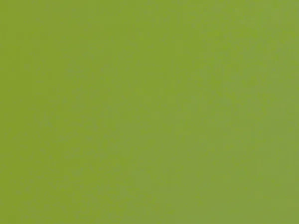 Carina 7670 - army zelená