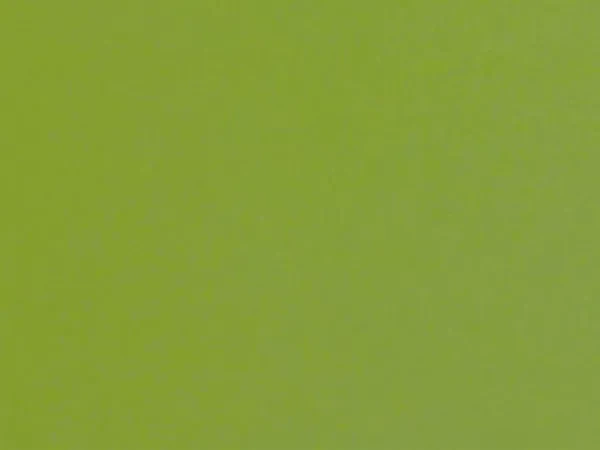 Carina 7670 - army zelená