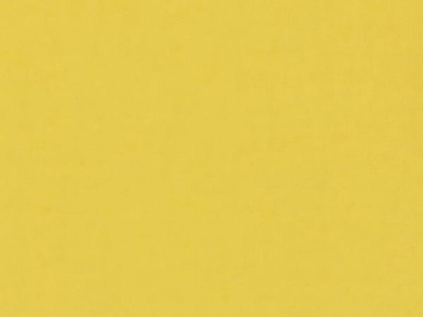 Eden 103 - svetlo žltá