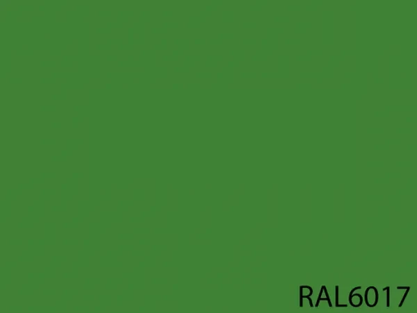 RAL 6017