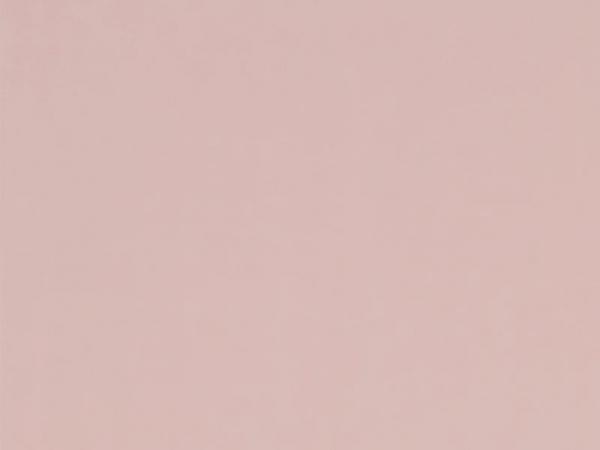 Carina 4980 - bledoružová