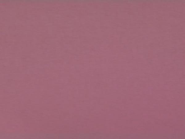 Carina 6744 - fialová