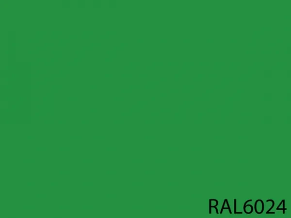 RAL 6024
