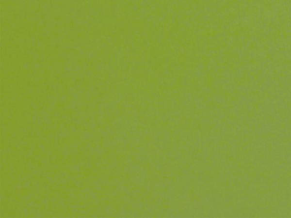 Carina 7670 - army zelená