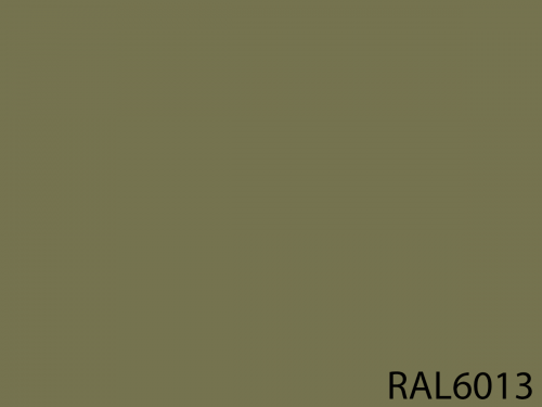RAL 6013