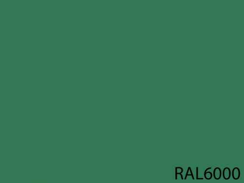 RAL 6000