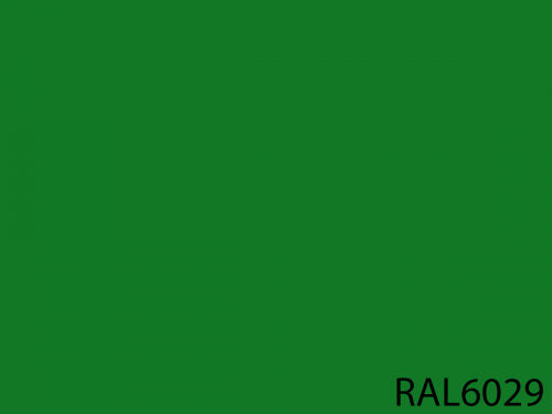 RAL 6029