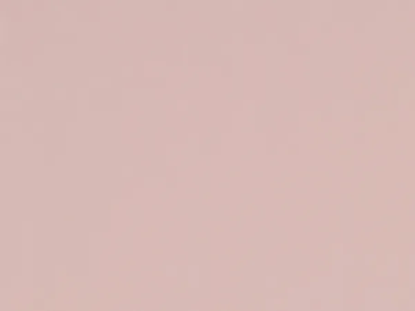 Carina 4980 - bledoružová