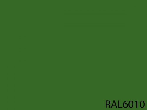 RAL 6010