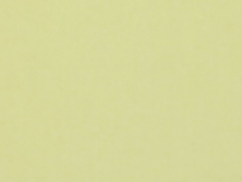 Carina 4996 - slonová kosť